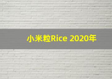 小米粒Rice 2020年